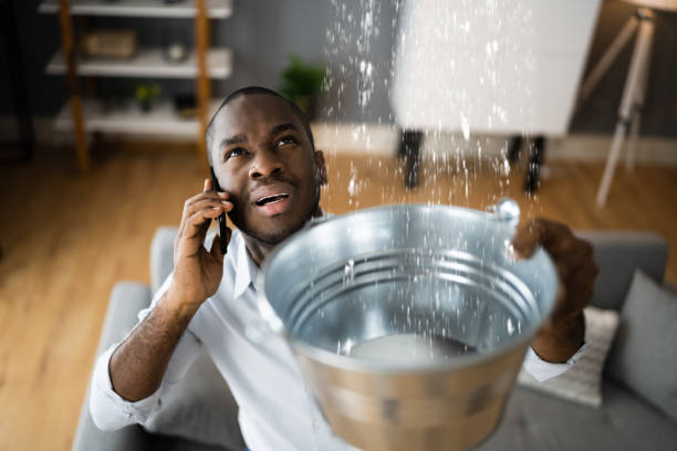 Best Local water damage restoration  in Jenkins, KY