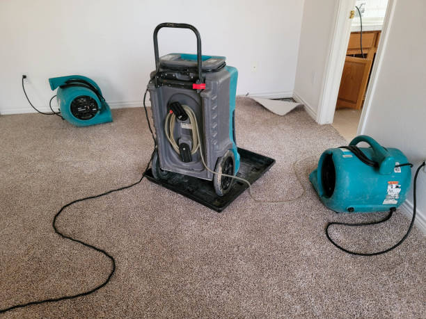 Best Water damage restoration company  in Jenkins, KY