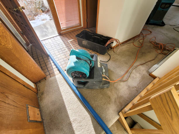 Best Emergency water damage restoration  in Jenkins, KY