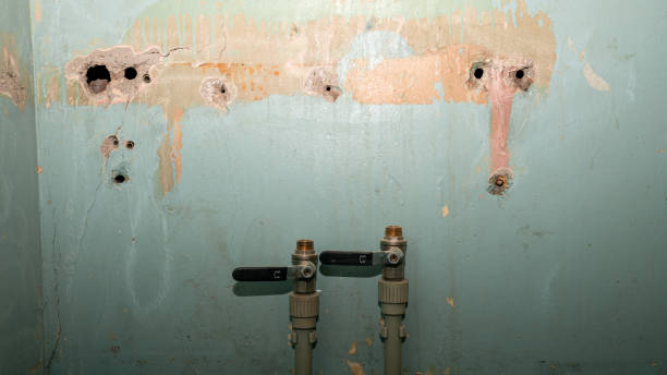 Best Sewage cleanup and water damage restoration  in Jenkins, KY