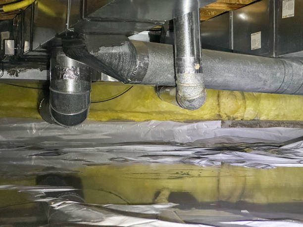 Best Basement water damage restoration  in Jenkins, KY